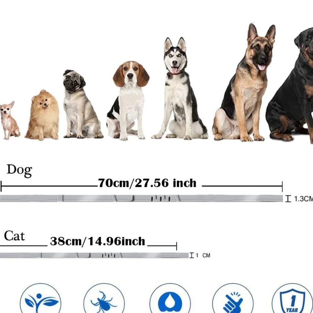 Pets - Silicone Adjustable Dog/Cat Collar Necklace 8 Month Protection Corgi Teddy - Image 6